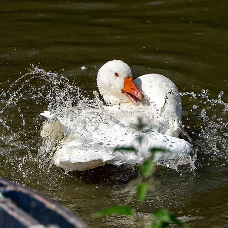 Chateau Le Colombier 3* Brevands